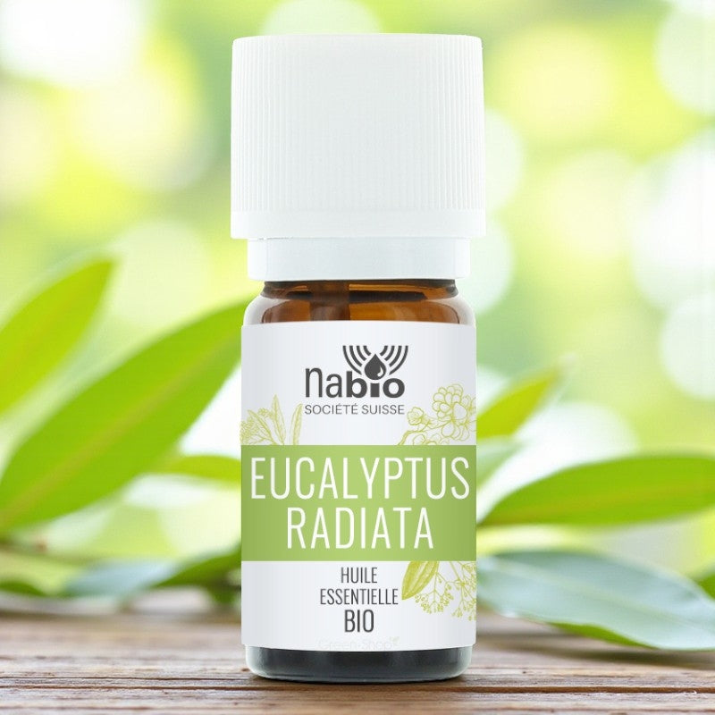 Huile essentielle BIO Eucalyptus radiata