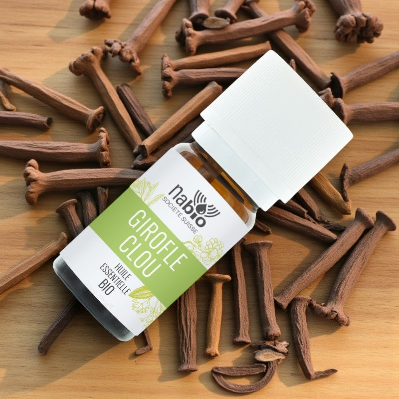 Huile essentielle BIO Girofle clou