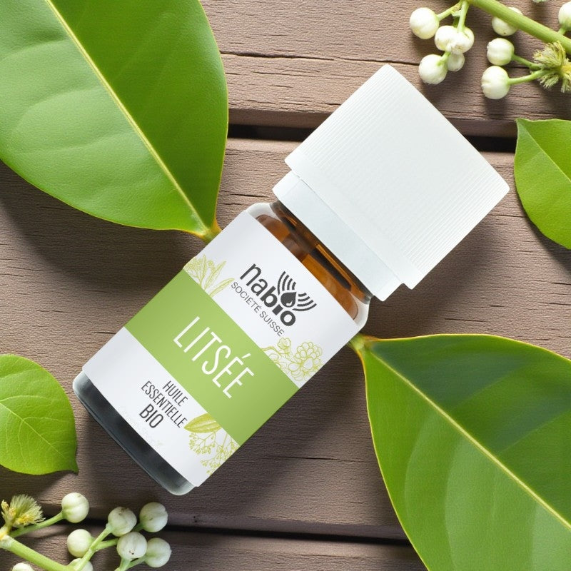 Huile essentielle BIO Litsée