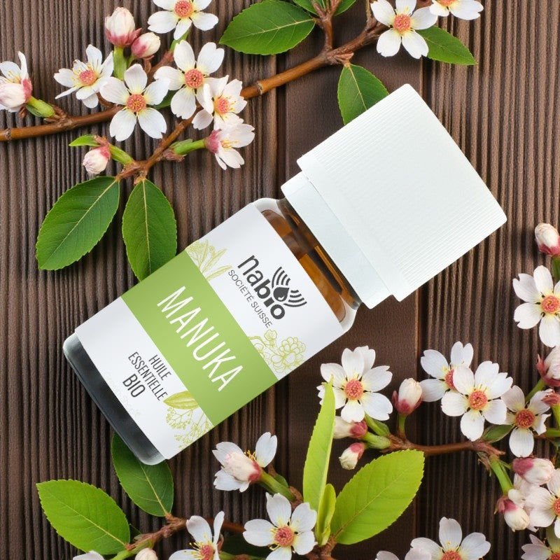 Huile essentielle BIO Manuka