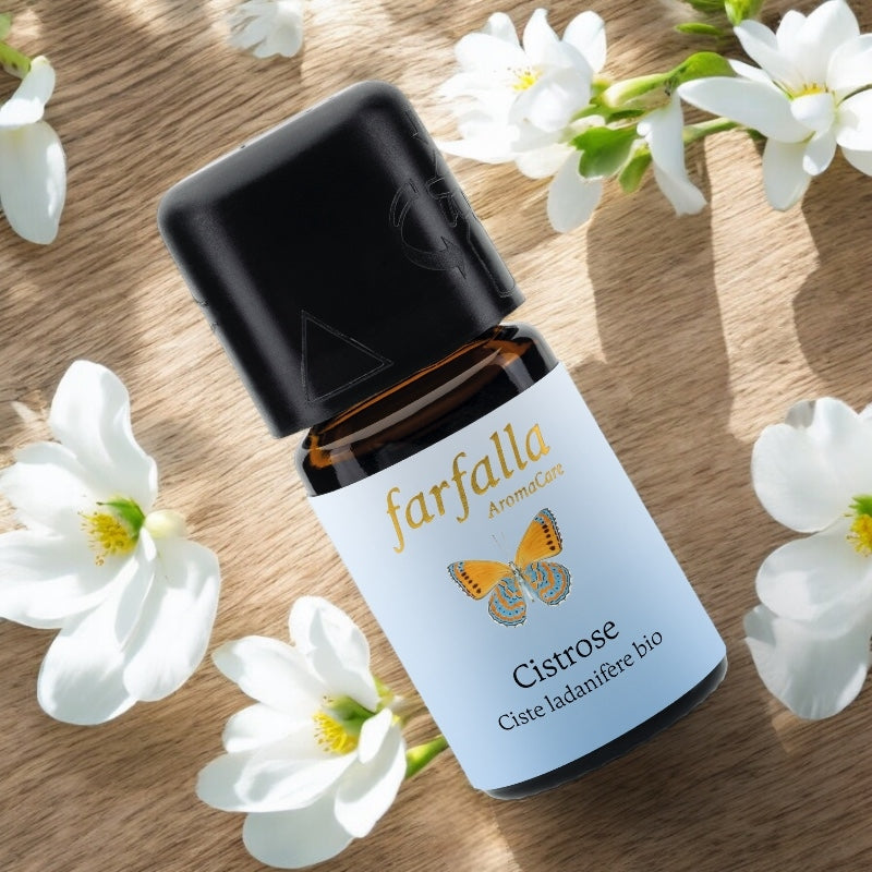 Farfalla - Ätherisches Öl Zistrose BIO 5ml