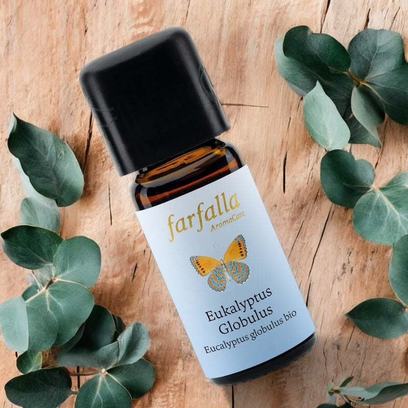 Farfalla - Ätherisches Öl Eukalyptus BIO 10ml