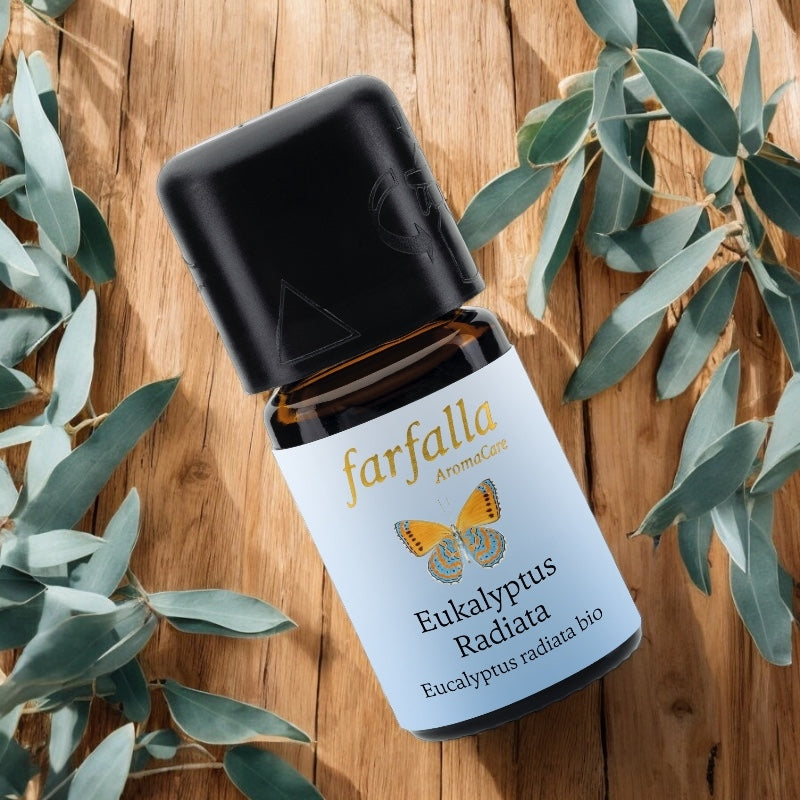 Farfalla - Huile essentielle Eucalyptus radiata BIO 5ml