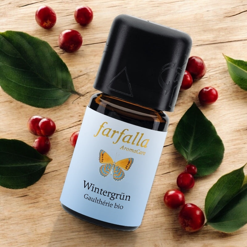 Farfalla - Ätherisches Öl Wintergrün BIO 5ml