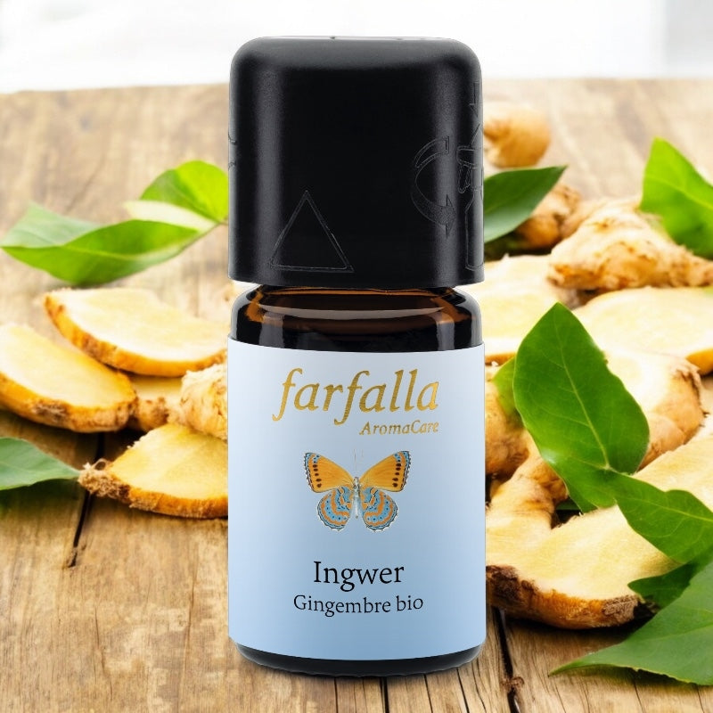 Farfalla - Huile essentielle Gingembre BIO 5ml