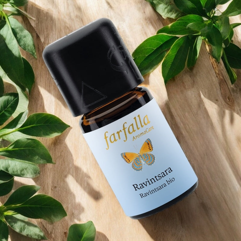 Farfalla - Ätherisches Öl Ravintsara BIO 5ml