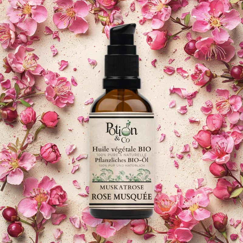 Huile de rose musquée BIO Potion & Co 50ml