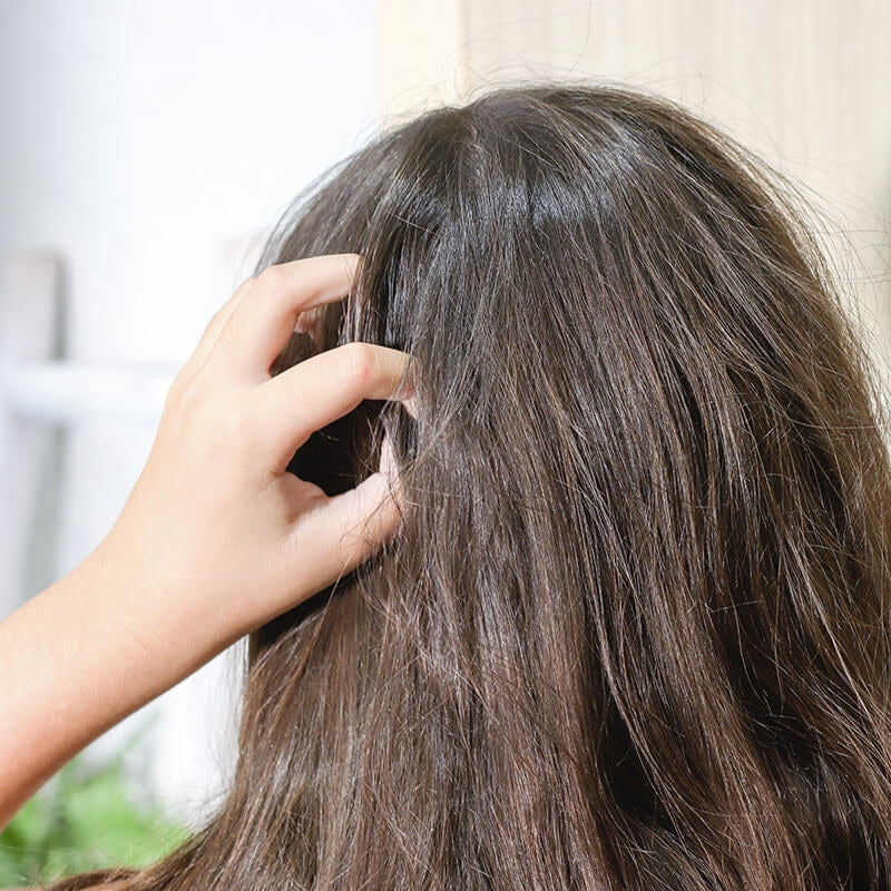 Festes Kindershampoo Lavandin & Teebaum